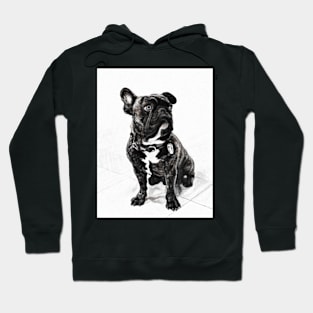 Snorter Hoodie